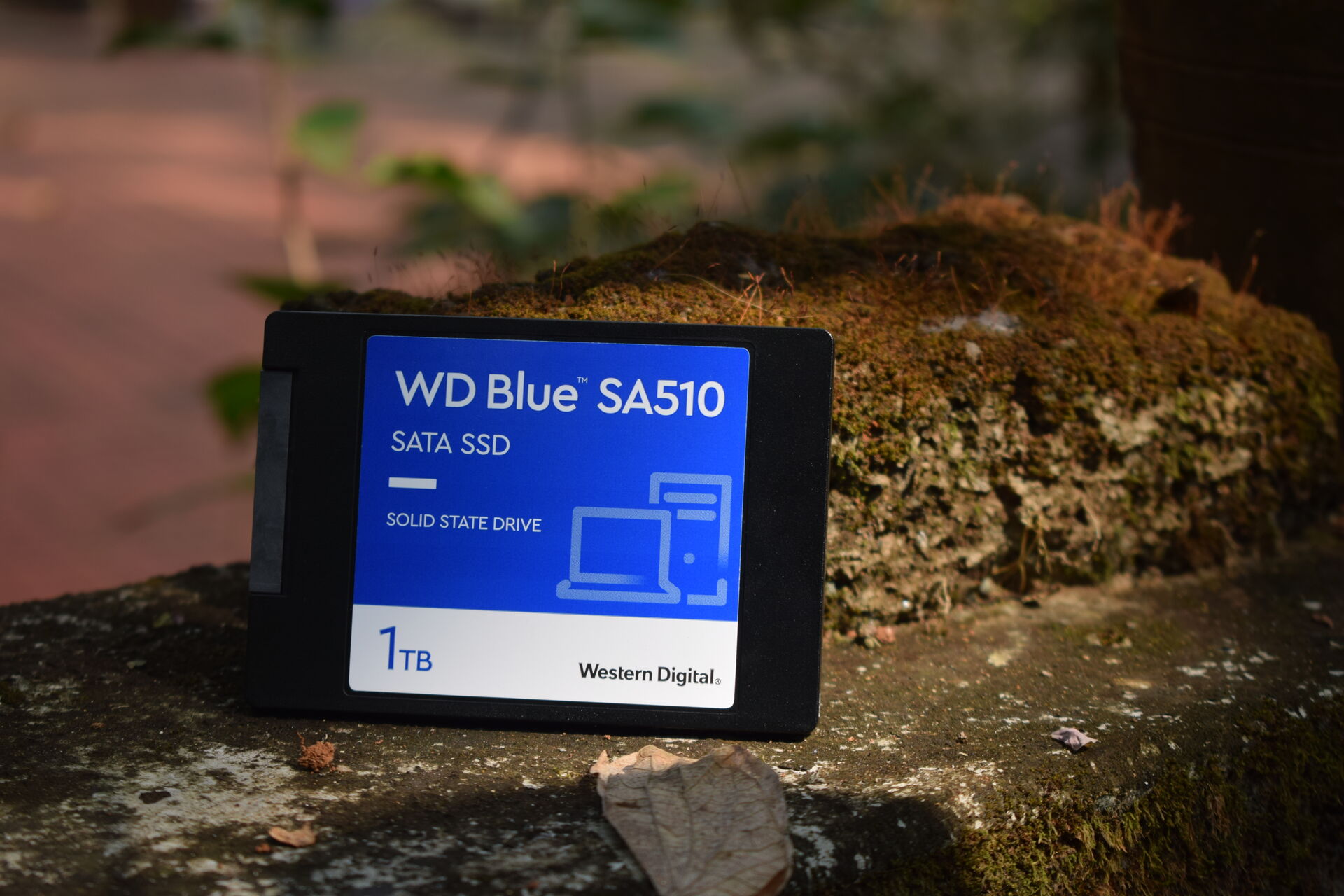 A Western Digital Blue SA510 1TB SSD placed against a brick