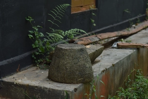 Abandoned grinding tools and planks with fern leaves in the background.
